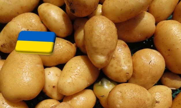 Ukrajna: ismét emelkedik a burgonya ára 