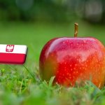 Lengyelország: mi lesz az almaárak alakulásával? 
