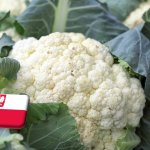 Lengyelország: emelkedik az import karfiol nagybani ára 