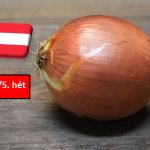 Ausztria: változatlanok a termelői árak a vöröshagyma piacán 