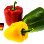 Németország: kevés és drága a paprika a nagybani piacokon 