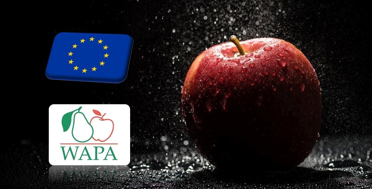 WAPA: a tavalyinál 4,3%-kal alacsonyabb az almakészletek szintje 