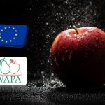 WAPA: a tavalyinál 4,3%-kal alacsonyabb az almakészletek szintje 