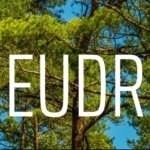 Nébih: mindent az EUDR-ről – tematikus oldal indult a Nébih weboldalán az erdőirtásmentes termékek felügyeletéről 