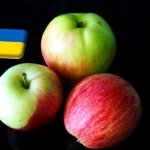 Ukrajna: magas szintről kezdett csökkenésbe az alma ára 