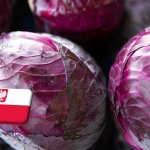 Lengyelország: rekord árszinten zárja a szezont a vöröskáposzta 
