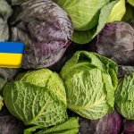 Ukrajna: a zöldségek egyharmada nem kerül megfelelő tárolóba 