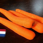 Hollandia: telített a sárgarépa európai piaca 