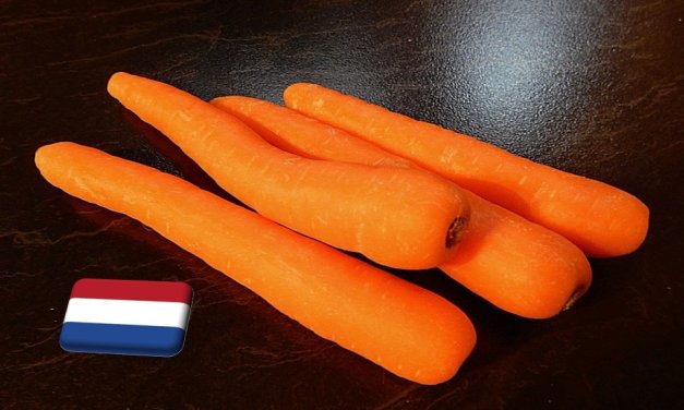 Hollandia: telített a sárgarépa európai piaca 