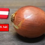 Ausztria: csökken a hagyma iránti érdeklődés az exportpiacokon 