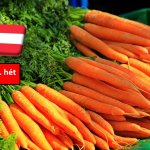 Ausztria: február végén is stabil a sárgarépa piaca