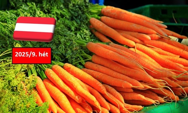 Ausztria: február végén is stabil a sárgarépa piaca