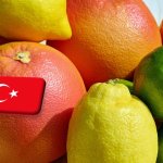 Törökország: számottevő mértékben csökkent a citrusfélék idei termése 