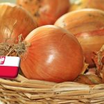 Lengyelország: februárban csökkenni kezdett a hagyma ára, és várhatóan tartós lesz ez a trend 