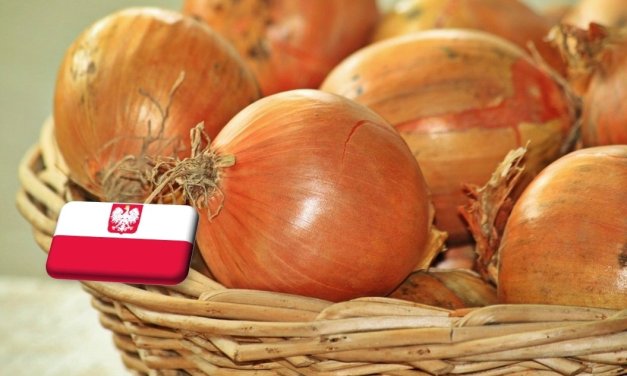 Lengyelország: februárban csökkenni kezdett a hagyma ára, és várhatóan tartós lesz ez a trend 