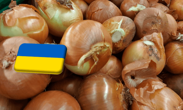 Ukrajna: gyors ütemben csökken a hagyma ára március elején 