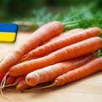 Ukrajna: jelentősen drágult a sárgarépa április végén 