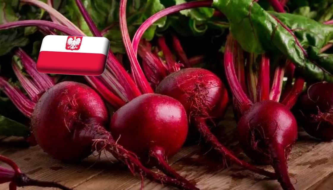 Lengyelország: rekord közeli szinten a cékla ára március elején 