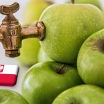 Lengyelország: március elején enyhén nőtt a léalma felvásárlási ára 