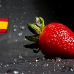 Spanyolország: tornádók pusztítottak Huelva körzetében 