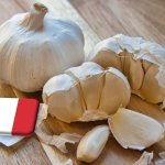 Olaszország: április végén indul a fokhagymaszezon 