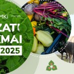 MEGHÍVÓ: ÖMKi Ágazati Szakmai Nap (Debrecen, április 8.) 