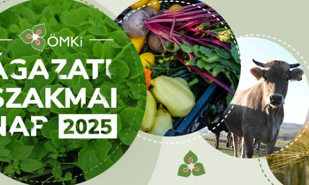 MEGHÍVÓ: ÖMKi Ágazati Szakmai Nap (Debrecen, április 8.) 