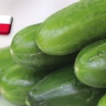 Lengyelország: tömegesen kerül piacra az orosz uborka 