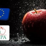 WAPA: a tavalyinál 4,8%-kal kevesebb az alma az európai raktárakban 