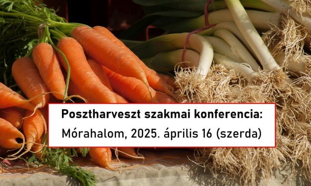 „Posztharveszt 1. – A zöldség tényleg a levesbe menjen” 