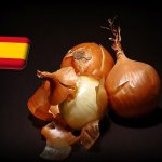 Spanyolország: Valencia körzetében 80%-os károk keletkeztek a hagymaföldeken 