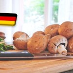 Németország: 2024-ben 2,7%-kal kevesebb gomba termett az előző évinél 