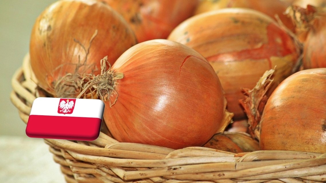 Lengyelország: március végén még mindig nyomott árak uralkodnak a hagyma piacán 