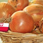 Lengyelország: március végén még mindig nyomott árak uralkodnak a hagyma piacán 