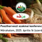 Beszámoló: „Posztharveszt 1. – A zöldség tényleg a levesbe menjen” konferencia