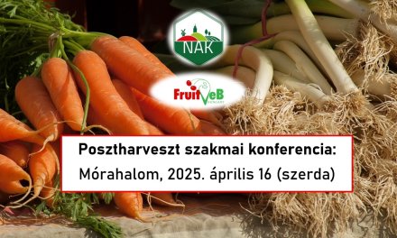 Beszámoló: „Posztharveszt 1. – A zöldség tényleg a levesbe menjen” konferencia
