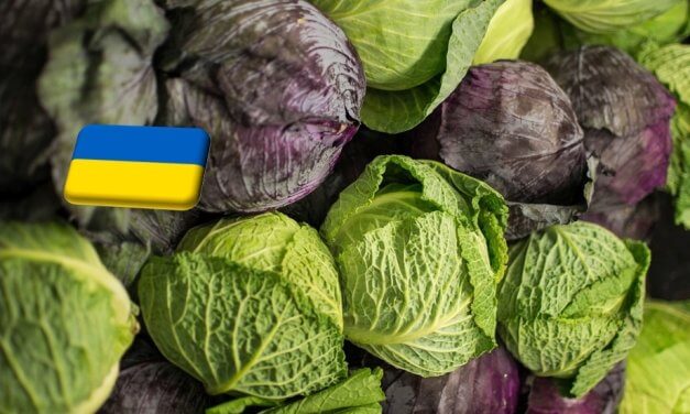 Ukrajna: a tavalyinál hatszor drágább a káposzta április közepén 