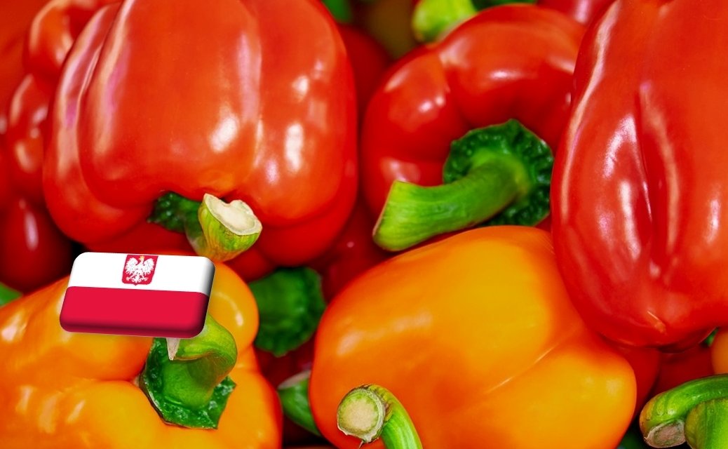 Lengyelország: a kínálat bővülésével olcsóbb lett az import paprika 