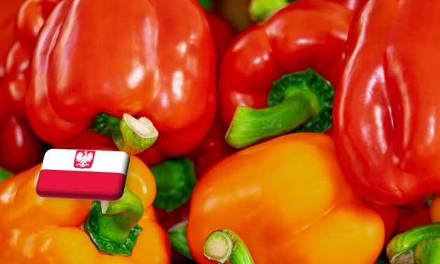 Lengyelország: a kínálat bővülésével olcsóbb lett az import paprika 