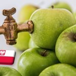 Lengyelország: váratlanul alacsony árakkal zárul a léalmaszezon 