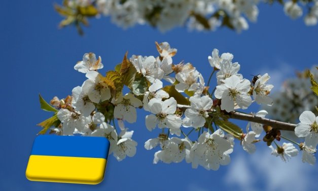 Ukrajna: a harmadik tavaszi fagyhullám károsította a gyümölcsösöket 