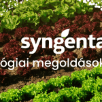 A Syngenta Biológiai Megoldások zöldségkultúrákban (x)