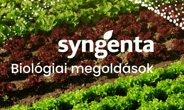 A Syngenta Biológiai Megoldások zöldségkultúrákban (x)