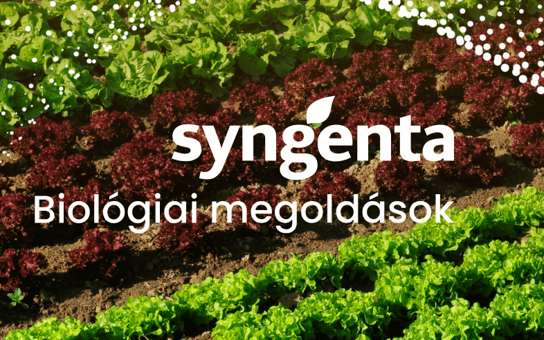 A Syngenta Biológiai Megoldások zöldségkultúrákban (x)