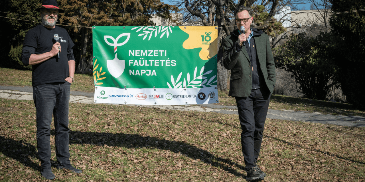 10 Millió Fa: így lesz erdő az 1%-ból! 