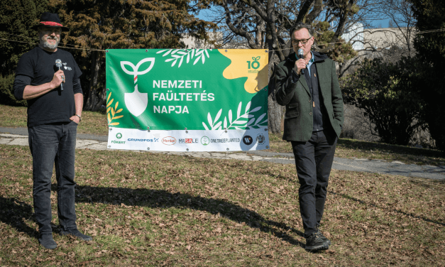 10 Millió Fa: így lesz erdő az 1%-ból! 