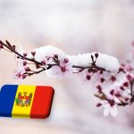 Moldova: súlyos fagykárok kajsziban és cseresznyében 