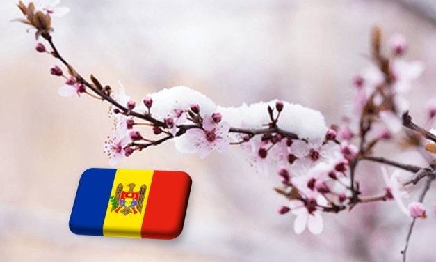 Moldova: súlyos fagykárok kajsziban és cseresznyében 