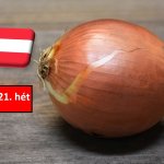 Ausztria: nem lesz zökkenőmentes az idei hagymára való átállás 