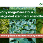 Erős sejtfalak, vastagabb bőrszövet, jobb terméskötés, jobb betegségellenállás 
